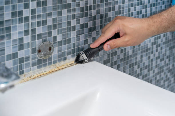 Best Emergency Mold Remediation in Albany, CA